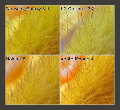 Comparativa de las cámaras del iPhone 4, Samsung Galaxy S2, Nokia N8,y LG Optimus 2XS, macro